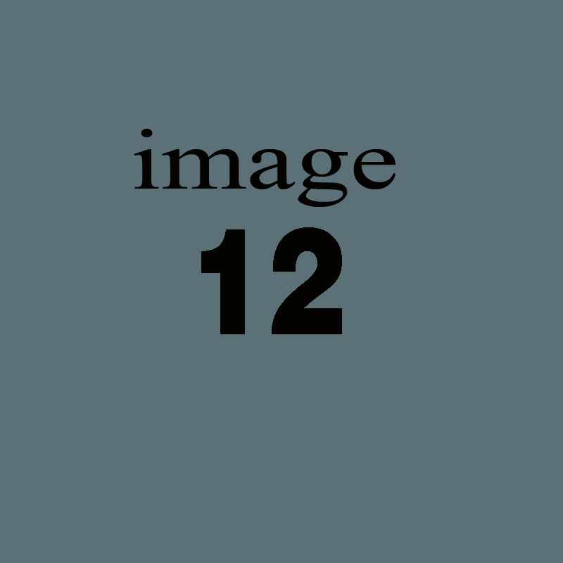 Suscipit aut non necessitatibus soluta nostrum.