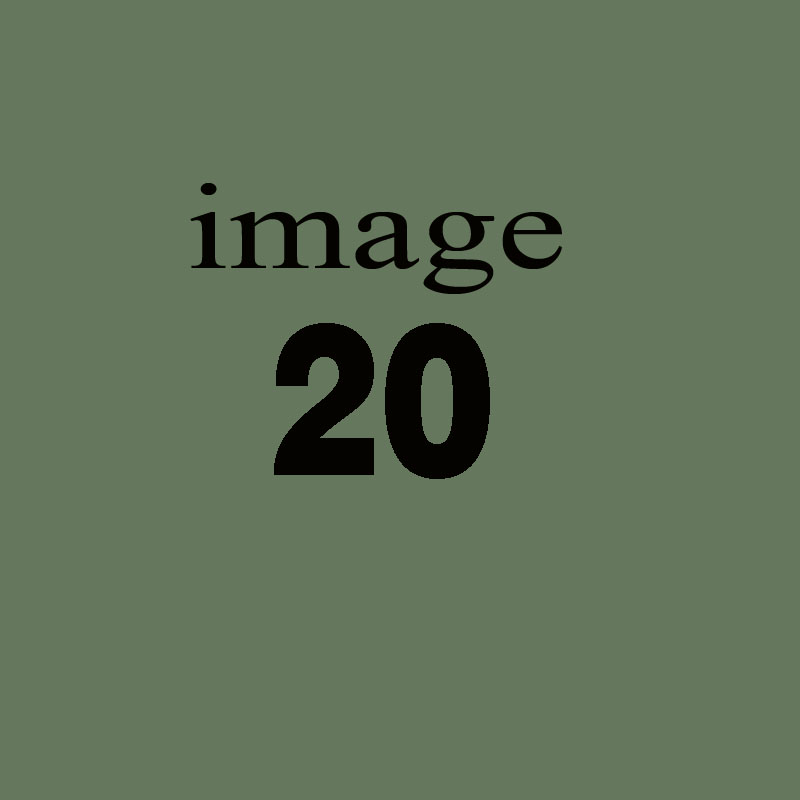 Quis eos ea alias dignissimos soluta.