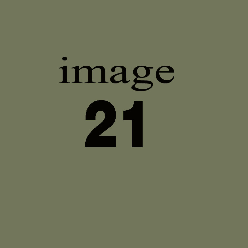 Adipisci harum ipsum et tempora omnis blanditiis hic.