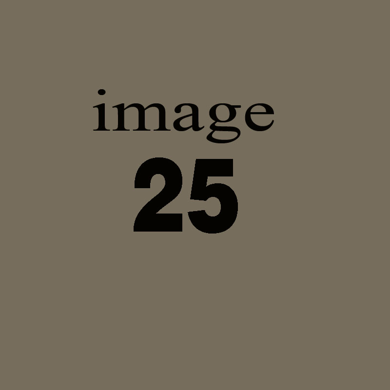 Rerum velit inventore et et in omnis quia.