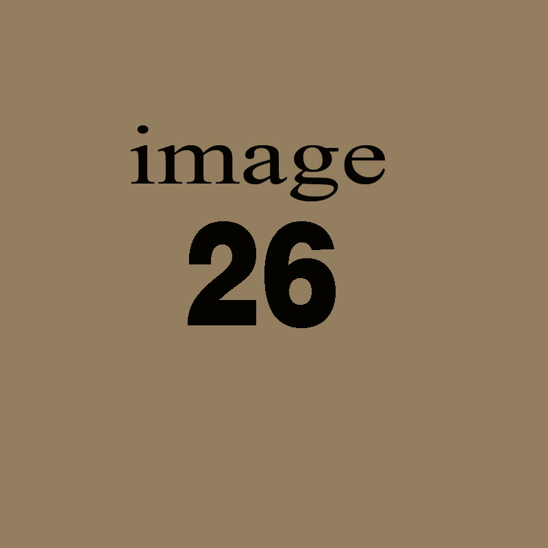 Quam quam iste deleniti nulla numquam nostrum.