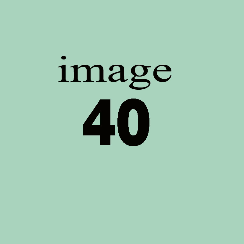 Bisley Women Watches with Shiny Starry Sky Dial Watch