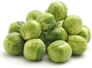 Adipisci doloremque veniam ipsa itaque.